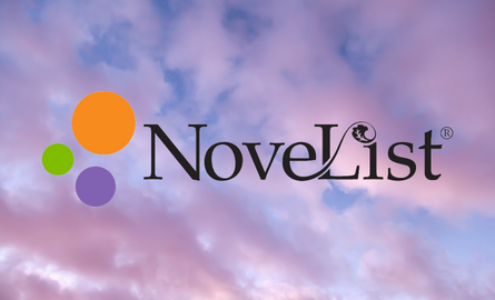 Novelist logo with a pink sunset in the background